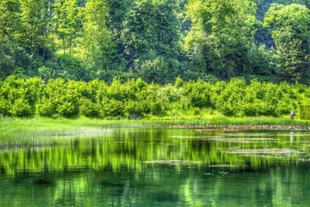 Stately homeの素材