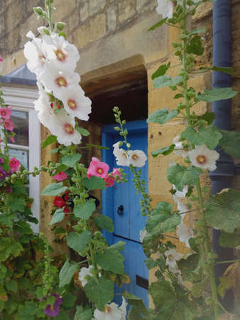 Chipping Campdenの素材