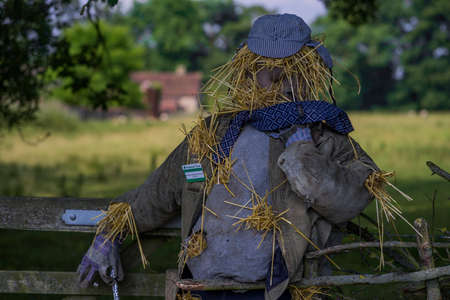 scarecrowの写真素材