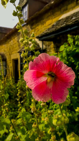 cottageの写真素材