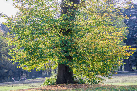 compton verney estate stately home warwickshire ukの写真素材