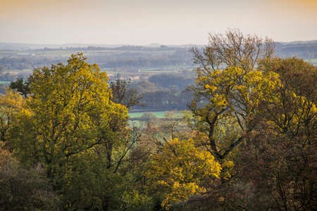 batsford arboretum in the cotswoldsの写真素材