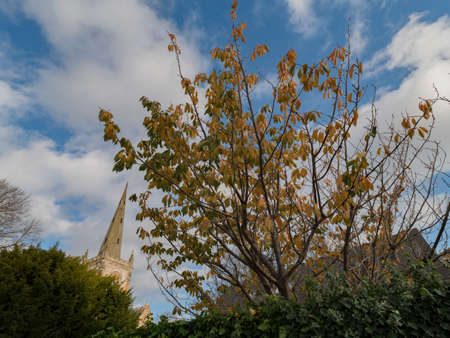 Stratford upon avon warwickshire midlands England UKの写真素材