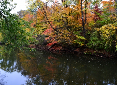 A colorful reflection of leaves in the Cuyahoga River  Image captured in Mantua Ohio の写真素材