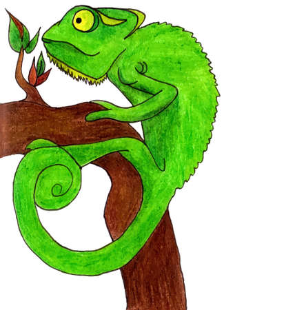 Chameleon cartoon vector illustration set card signのイラスト素材