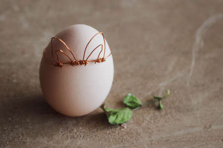 Spring egg, egg with leaves with place for text. Easter concept on wooden raw background