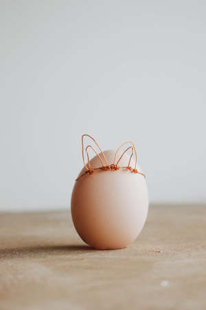 white egg with willow branch and bunny ears on wooden background