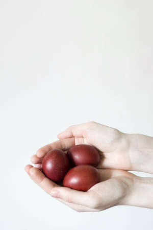 Unrecognizable woman hand holding eggs.の写真素材