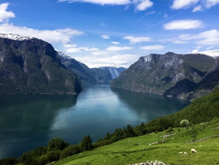 natural scenery in Fjord , Norwayの素材