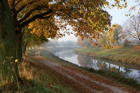 Road along the river shrouded in fog.の写真素材