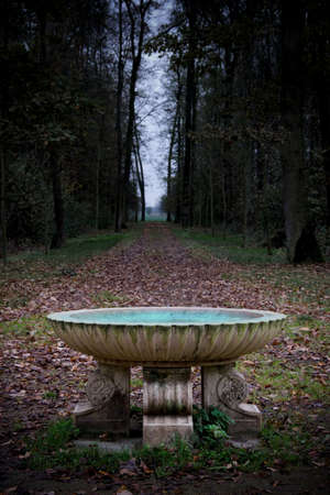 Gothic stone fountain with living water in a deciduous forest.の写真素材
