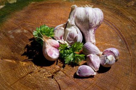 Cloves of fresh garlic with parsley on a wooden background.の写真素材