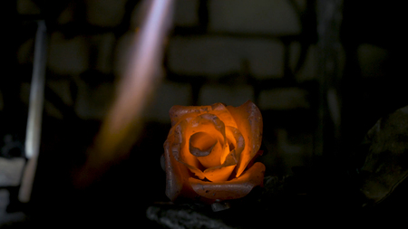Blacksmith makes an iron rose. Man makes a rose out of ironの写真素材