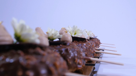 Flowers and cream on the ice cream closeup. Chocolate ice cream on a stick. Chocolate ice cream on a...