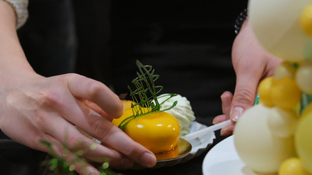 The female lays a piece of cake on a plate. Woman puts on a plate cake.の写真素材