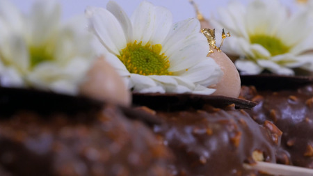 Flowers and cream on the ice cream closeup. hocolate ice cream on a stick. Chocolate ice cream on a stick decorated with flowers.の写真素材