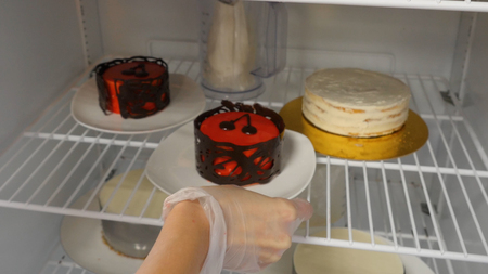 Woman puts sweet cake in the refrigerator. Cake in the fridge.の写真素材