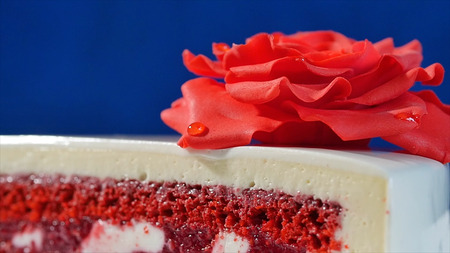 White cake with chocolate ornaments and red marzipan rose on dark blue background. cake decorated...
