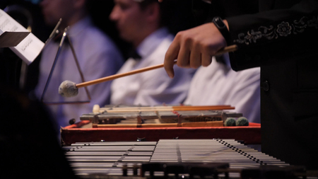 Close up of the musician playing on xylophone. Xylophone, music and chromatic instrument concept - closeup on wooden bars with four mallets in human hands, performer in black dress, glockenspiel, orchestra concert, art of music.の写真素材