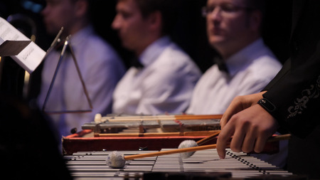 Close up of the musician playing on xylophone. Xylophone, music and chromatic instrument concept - closeup on wooden bars with four mallets in human hands, performer in black dress, glockenspiel, orchestra concert, art of music.の写真素材