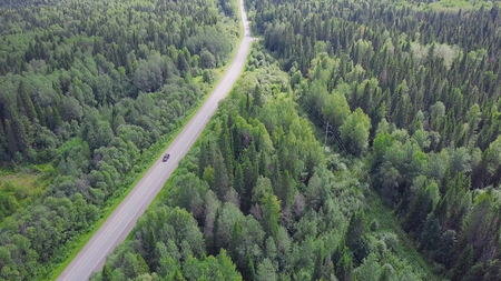 Aerial view of a road in autumn surrounded by pine tree forest. Clip. Top view of the road in the forest.の写真素材
