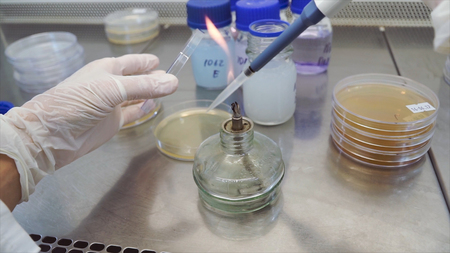 Bunsen Burner flame test in the science laboratory. Clip. Flaming a tube in the microbiology laboratoryの写真素材