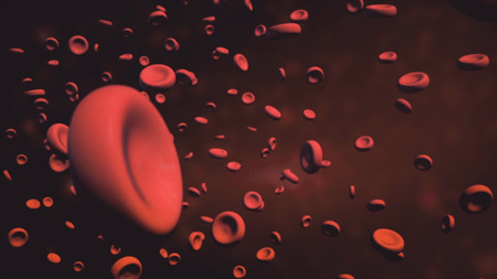 3d animation of red blood cells flowing through artery. Animation of Red Blood Cells Flowing Through Vein. Blood cells in an arteryの写真素材