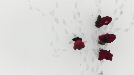 Group of trekkers on snow trail in the forest. Footage. A group of tourists and dog on a winter walk in the winter forest pathの写真素材