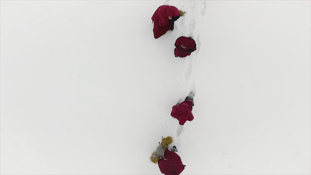 Group of trekkers on snow trail in the forest. Footage. A group of tourists and dog on a winter walk in the winter forest pathの写真素材
