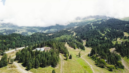 Beautiful green mountain landscape with trees. Top view of the mountainous area covered with forests.の写真素材