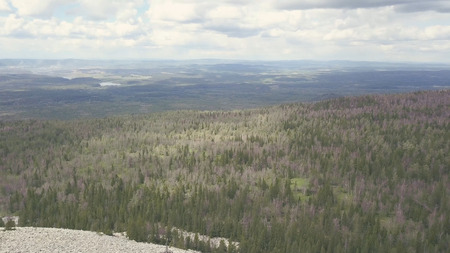Top view of white rock and panorama of valley with forest. Clip. Landscape of hilly valley with...