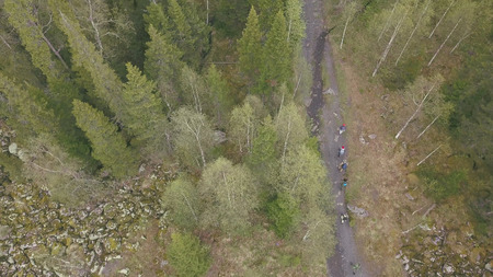 Top view of group of tourists walking along forest trail. Clip. Group of tourists goes to top of...