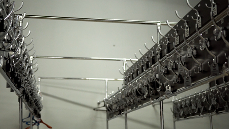 Rows of numbered hangers in dressing room. New metal hooks hangers in dressing room for outerwear with numbers in public building.の写真素材