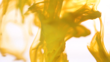 Close-up splash of colors in water. Colorful background of splash of colors in water on white background. Abstract art fall colors in water.の写真素材