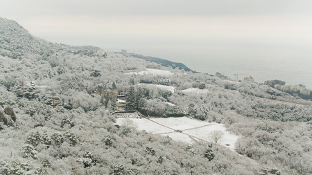 Top view of the snow-covered forest by the sea. Shot. Aerial view of the winter snow covered forest...