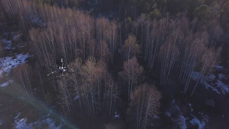 Aerial for the drone camera flying in the sky above deciduous and coniferous forest on blue sky...