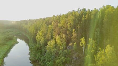 Bright sunny rays falling on green forest by river. Stock footage. Warm sunlight falls on beautiful...