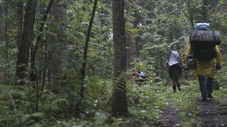 Rear view of the group of people with backpacks trekking together and climbing in forest. Stock...