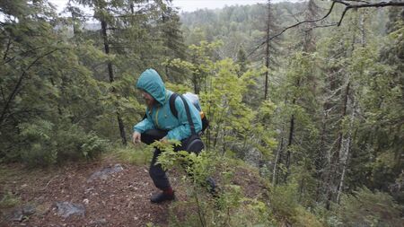 Hiker with backpack walking from the edge of the forest hill, adventure and travelling concept....