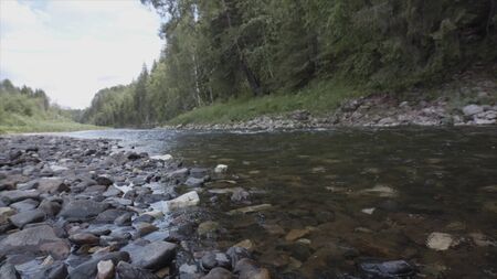 Close up of the cold and fresh river with stony bottom on green forest background. Stock footage....
