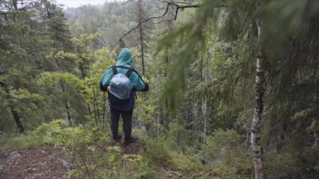 Back view of the lone tourist man looking forest view on edge of the forest hill under the rain. Man...