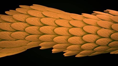 Animation of a crawling colored dragon on a black background.
