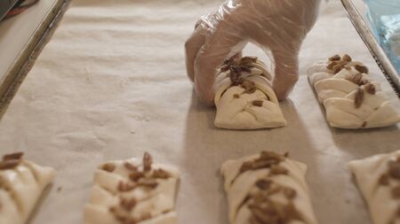 Close up of confectioner hands putting uncooked buns with nuts on the oven tray. Baker preparing sweet and tasty pastry products.の写真素材