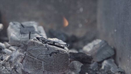 Close up of camp fire flames and chargrill on green meadow background. Burning firewood and embers...