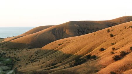 Aerial of mountain slope covered by grass ans rare trees on blue sky background. Shot. Beautiful hills under the sunset light, beauty of nature.の写真素材