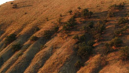 Aerial of mountain slope covered by grass ans rare trees on blue sky background. Beautiful hills...