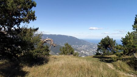 Aerial view of a city near the beach, mountains, and green meadow, paradise seascape. The sea and the horizon from a high mountain with a green grass and pine trees growing on its top.の写真素材