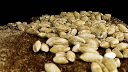 Grains on fresh bread. Stock footage. Grains fall on top of fresh homemade bread