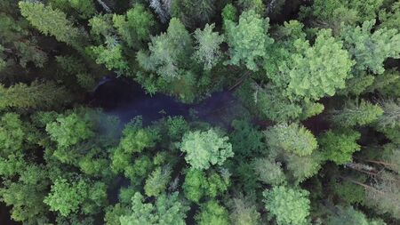 Aerial drone view of black burnt forest area with rising up white smoke, ecology and natural disaster concept. Top view the ground after the fire covered with a black layer of burning and ash.の写真素材