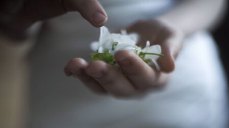 Close up of female hands holding and touching tender flower buds on blurred background of white dress. Spring blossom flowers in woman hands.の写真素材
